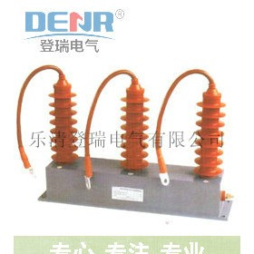 TBP-B-42F/310組合式過(guò)電壓保護(hù)器生產(chǎn)廠家登瑞供應(yīng)
