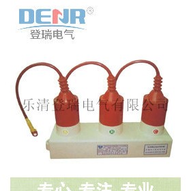 TBP-A-7.6/131無(wú)間隙過(guò)電壓保護(hù)器的驗(yàn)收試驗(yàn)