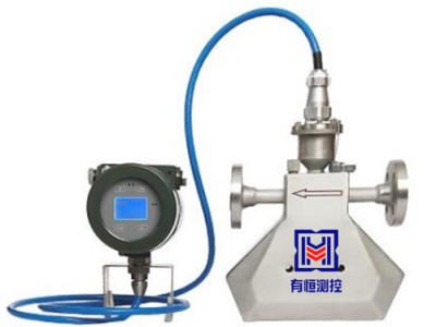 石油化工科里奧利質(zhì)量流量計