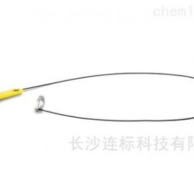 Waters ACQUITY UPLC CSH苯己基色譜柱