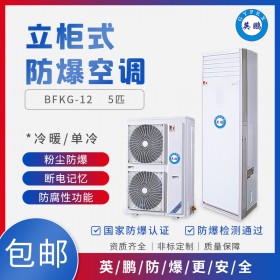 英鵬5匹空調(diào)南潯立柜式防爆空調(diào)BFKG-12