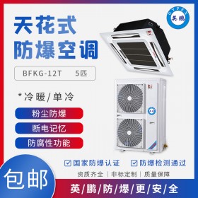 英鵬GYPEX山西油漆房天花式防爆空調(diào)BFKG-12T