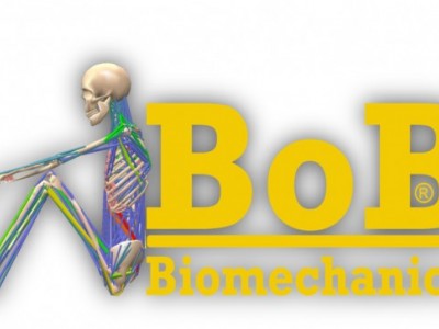 BOB人體生物力學分析軟件