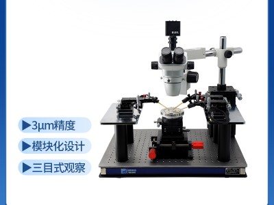 CPTDH系列高精度探針臺創(chuàng)譜儀器