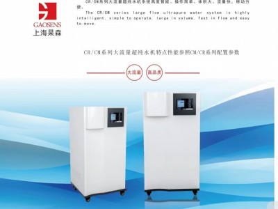 上海杲森CR大流量超純水機(jī)，科研實(shí)驗(yàn)室超純水制備，醫(yī)學(xué)超純水